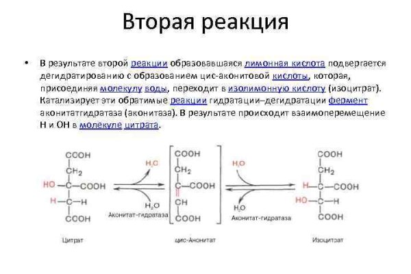 Кракен даркнет зеркало пв