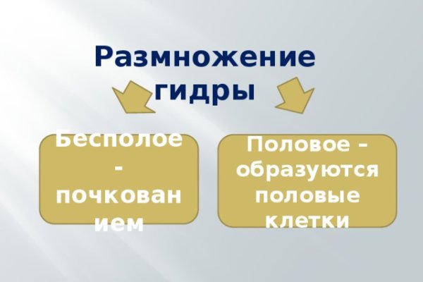 Kraken зеркала kr2web in
