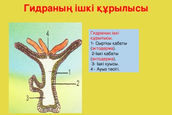 Сайт кракен россия